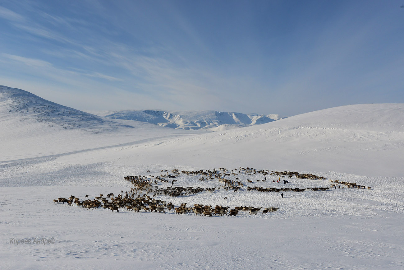 Yamal (Ямал)